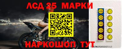 СК Ижевск
