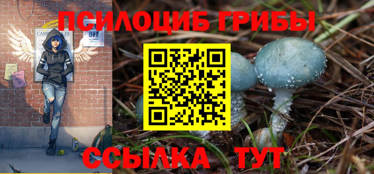 Владикавказ  Псилоцибиновые грибы мицелий  Вход с VPN 